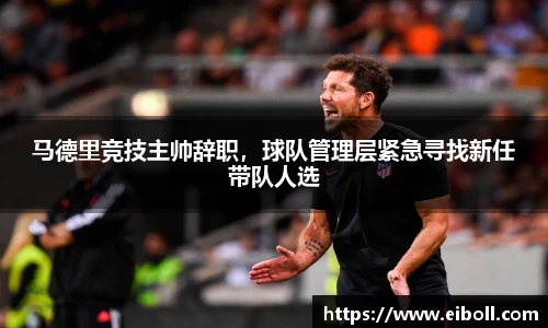 熊猫体育