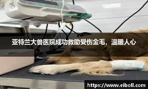 熊猫体育官网