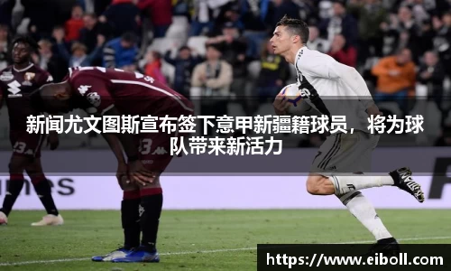 熊猫体育