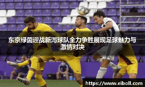 东京绿茵迎战新泻球队全力争胜展现足球魅力与激情对决